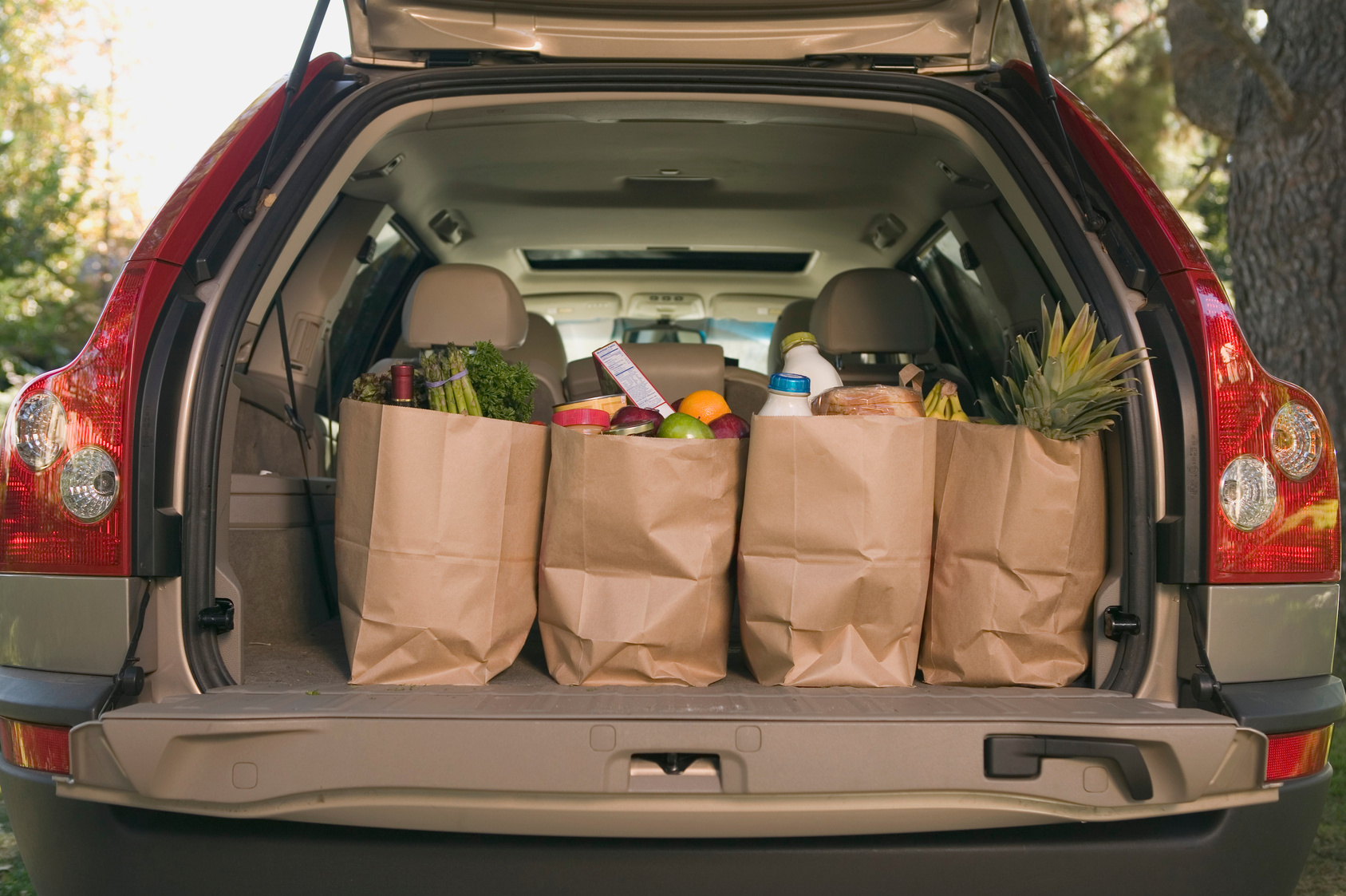 Grocery bags in car